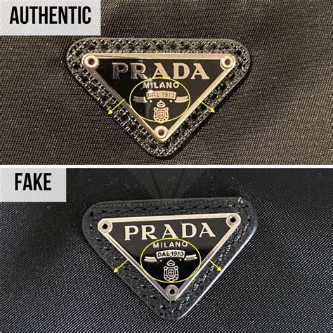 Prada real or real